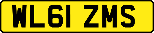 WL61ZMS