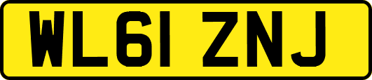 WL61ZNJ