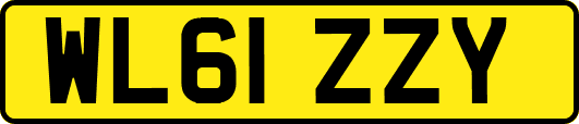 WL61ZZY