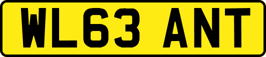 WL63ANT