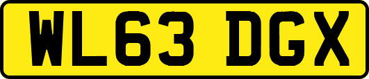 WL63DGX