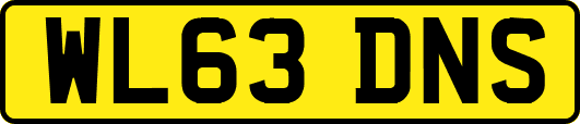 WL63DNS