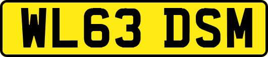 WL63DSM