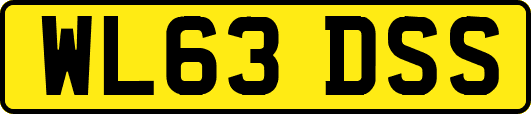 WL63DSS
