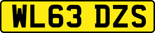 WL63DZS
