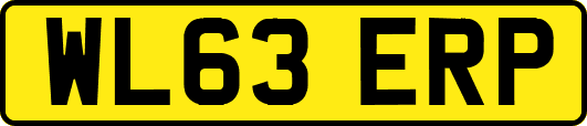 WL63ERP