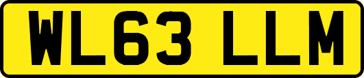 WL63LLM