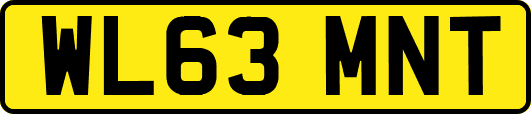 WL63MNT