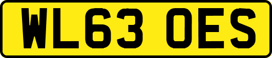 WL63OES