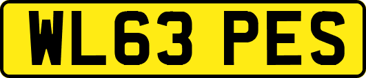 WL63PES