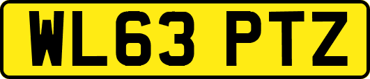 WL63PTZ