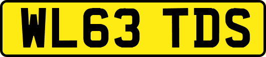 WL63TDS