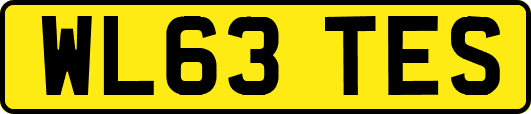 WL63TES