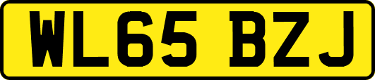 WL65BZJ