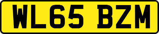 WL65BZM