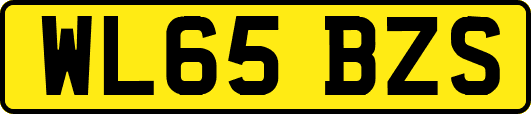 WL65BZS
