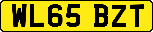 WL65BZT