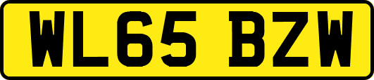 WL65BZW