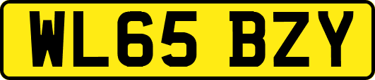 WL65BZY