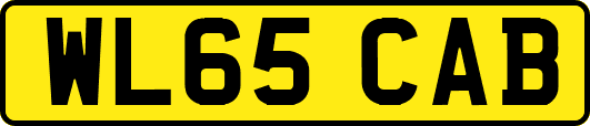 WL65CAB