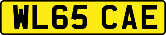 WL65CAE