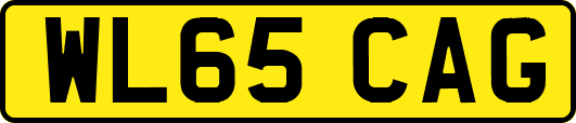WL65CAG