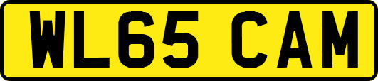 WL65CAM