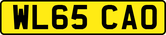 WL65CAO