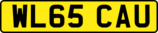 WL65CAU