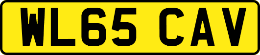 WL65CAV