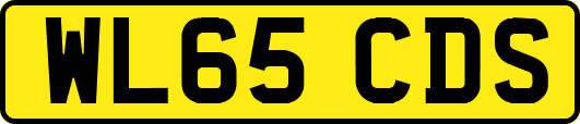 WL65CDS