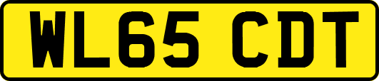 WL65CDT