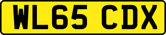 WL65CDX
