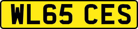 WL65CES