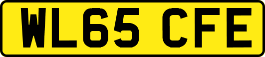 WL65CFE