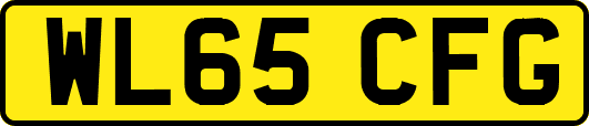 WL65CFG
