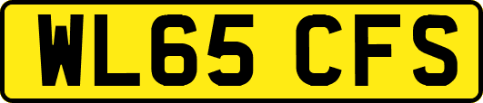 WL65CFS