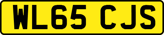 WL65CJS