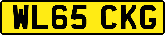 WL65CKG
