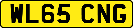 WL65CNG