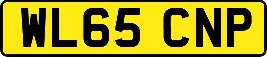 WL65CNP