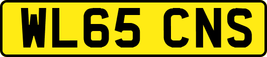 WL65CNS