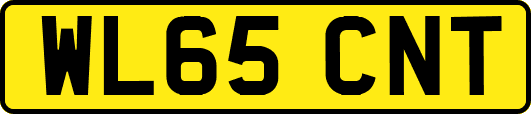 WL65CNT