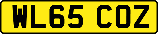WL65COZ