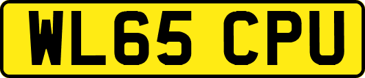 WL65CPU
