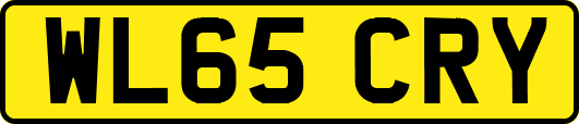WL65CRY