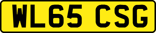 WL65CSG