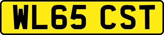 WL65CST