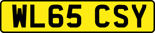 WL65CSY