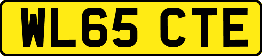 WL65CTE
